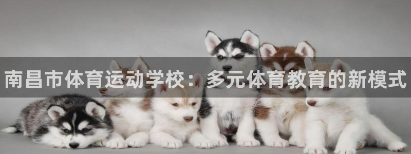 vsport体育官方正版app新能源:南昌市体育运动学校:多