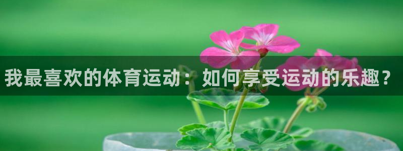 vsport体育官方正版app集团官网首页网址:我最喜欢的体